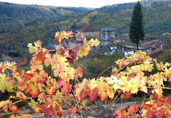 アパート Casa Del Herrero